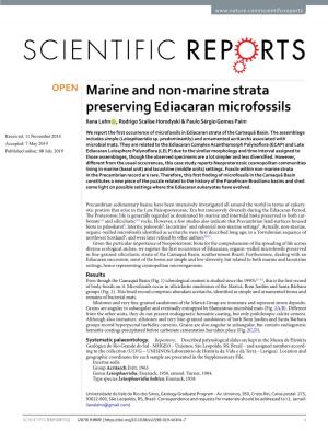 Marine and Non-Marine Strata Preserving Ediacaran Microfossils Ilana Lehn , Rodrigo Scalise Horodyski & Paulo Sérgio Gomes Paim