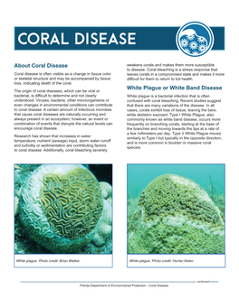 Coral Bleaching and Disease Fact Sheet