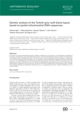 Genetic Analysis of the Turkish Gray Wolf (Canis Lupus) Based on Partial Mitochondrial DNA Sequences