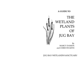 Wetland Plants Booklet