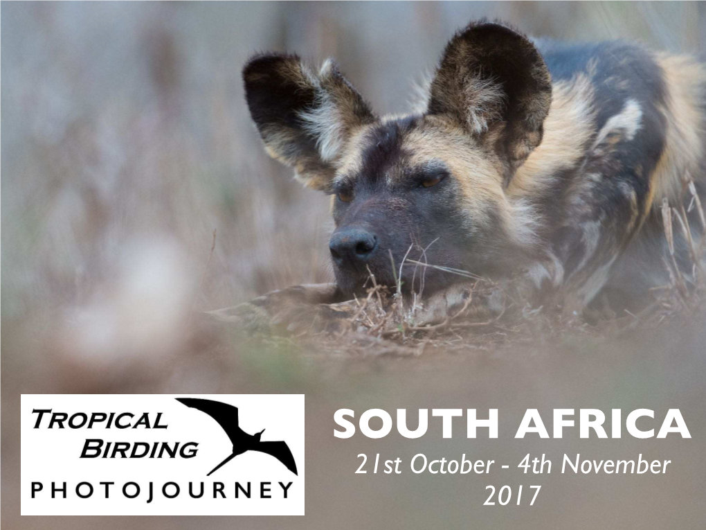 South Africa Photoreport 2017