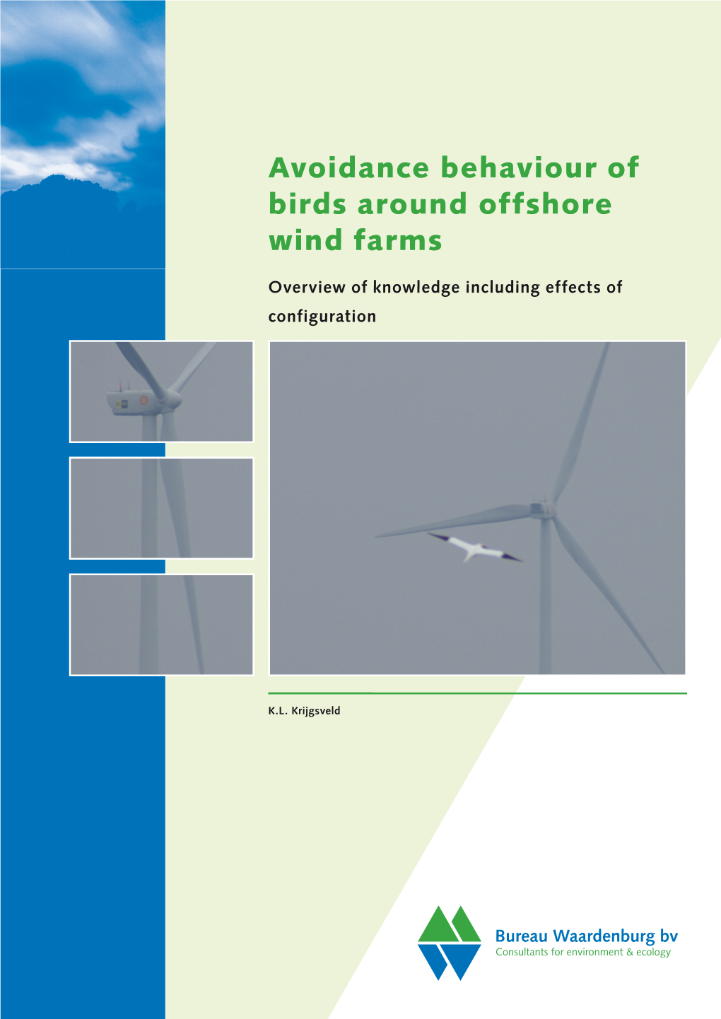 Avoidance Behaviour of Birds Around Offshore Wind Farms