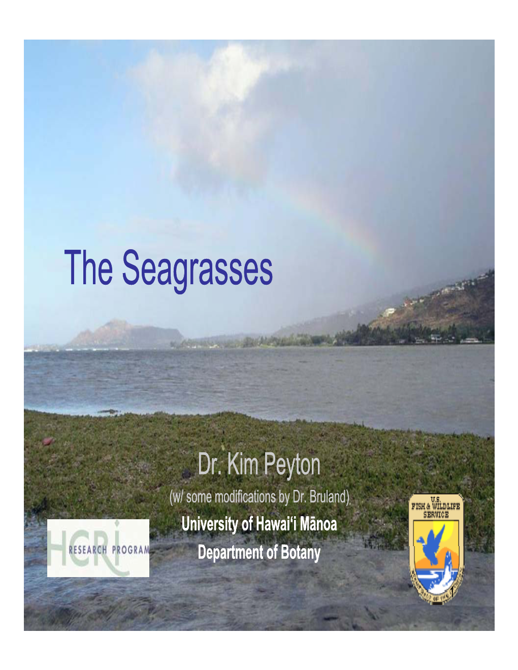 The Seagrasses