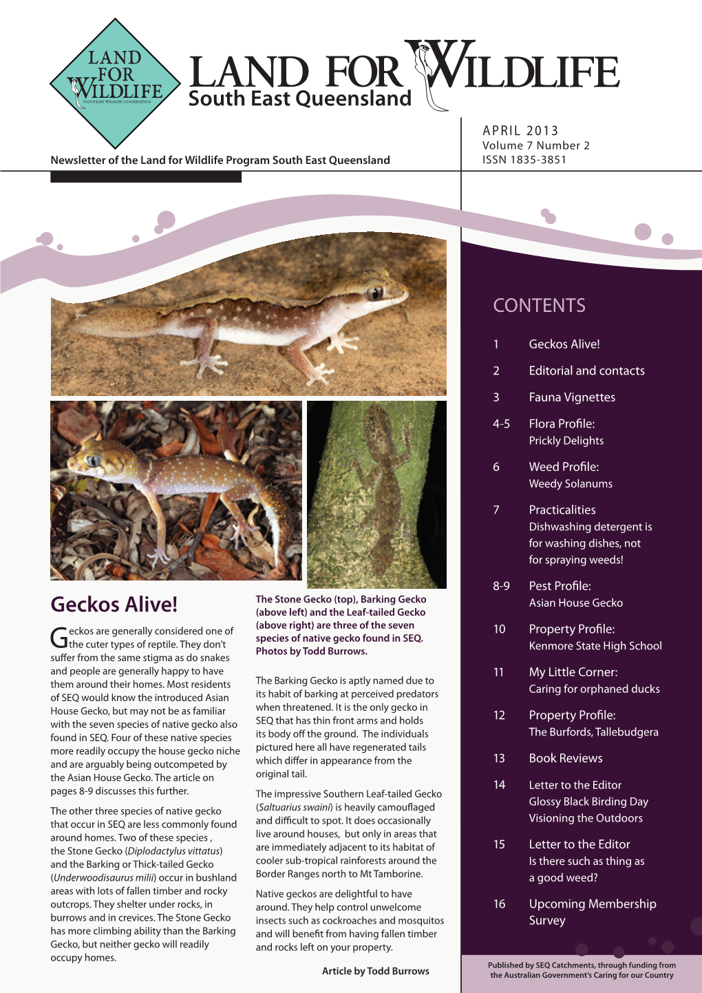 South East Queensland Geckos Alive!