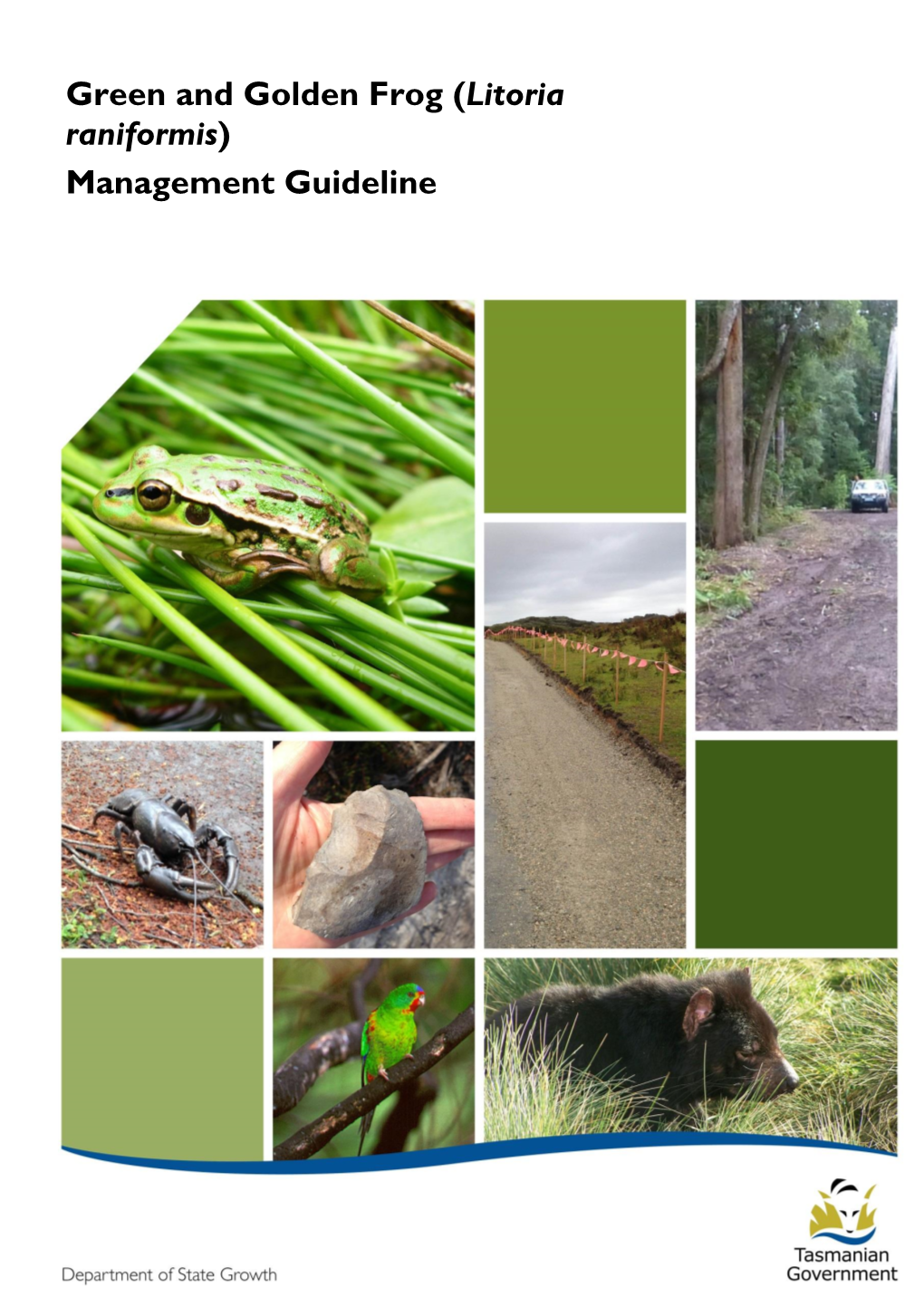 Green and Golden Frog (Litoria Raniformis) Management Guideline
