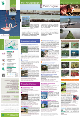 Download the Leaflet of Le Parc Naturel Régional De Camargue