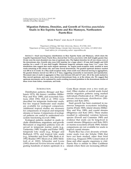 Migration Patterns, Densities, and Growth of Neritina Punctulata Snails in Rio Espiritu Santo and Rio Mameyes, Northeastern Puerto Rico