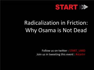 Radicalization in Friction: Why Osama Is Not Dead
