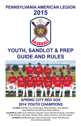 Youth, Sandlot & Prep Guide and Rules