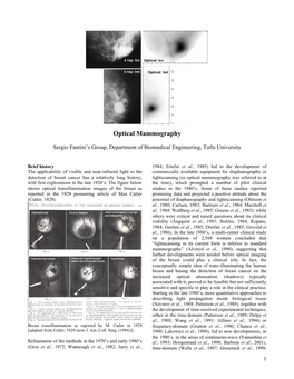 Optical Mammography