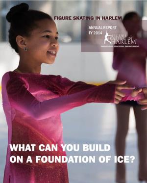 What Can You Build on a Foundation of Ice?