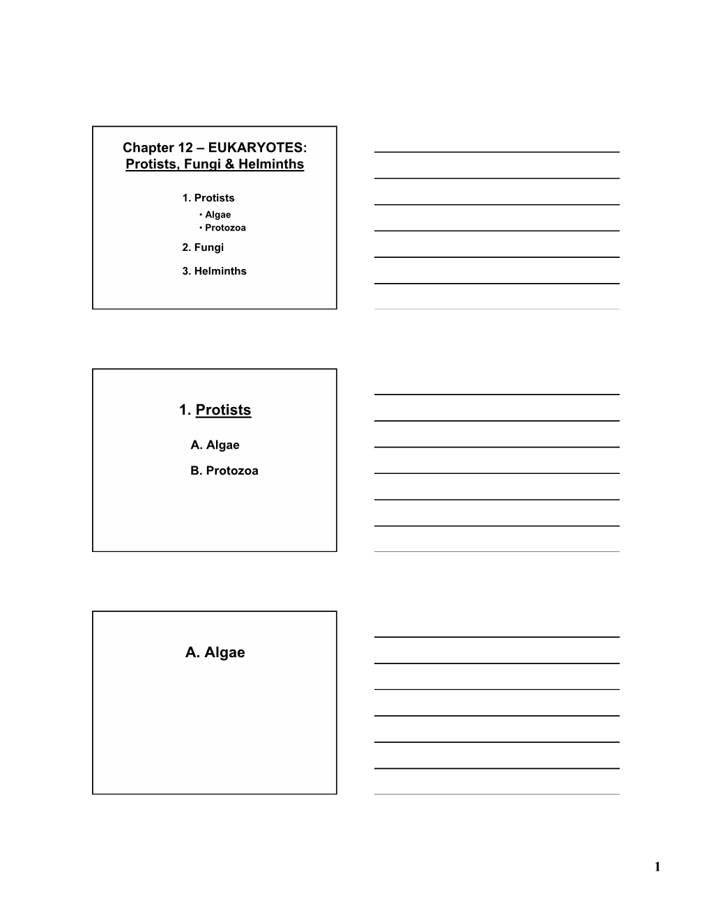 1. Protists A. Algae
