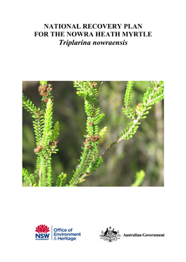 National Recovery Plan for Triplarina Nowraensis, Office of Environment and Heritage, Hurstville, (NSW)