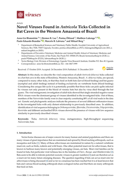 Novel Viruses Found in Antricola Ticks Collected in Bat Caves in the Western Amazonia of Brazil