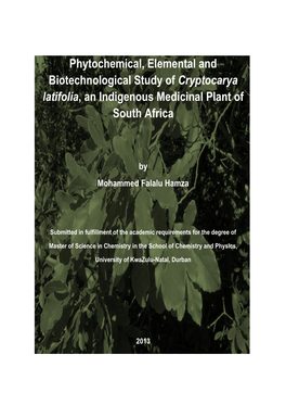 Phytochemical, Elemental and Biotechnological Study of Cryptocarya Latifolia, an Indigenous Medicinal Plant of South Africa