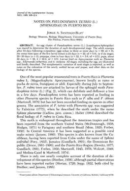Notes on Pseudosphinx Tetrio (L.) (Sphingidae) in Puerto Rico