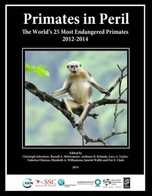 The World's 25 Most Endangered Primates 2012–2014