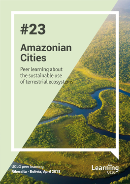 Amazonian Cities Peer Learning About the Sustainable Use of Terrestrial Ecosystems