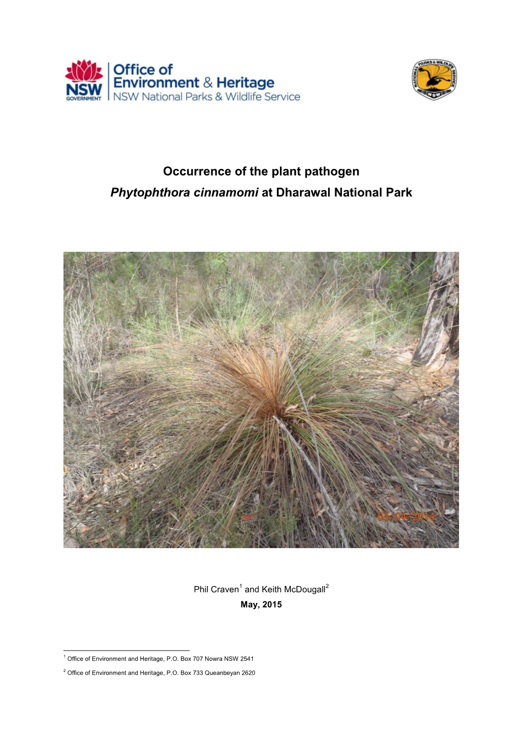 Occurrence of the Plant Pathogen Phytophthora Cinnamomi at Dharawal National Park