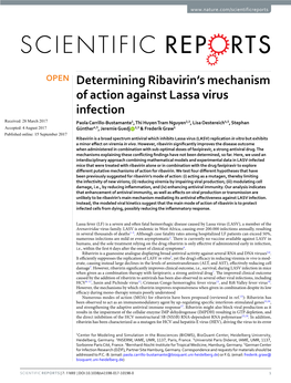 Determining Ribavirin's Mechanism of Action Against Lassa Virus Infection