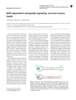 NGF-Dependent Retrograde Signaling: Survival Versus Death