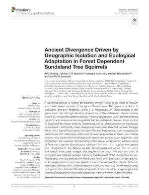 Ancient Divergence Driven by Geographic Isolation and Ecological Adaptation in Forest Dependent Sundaland Tree Squirrels