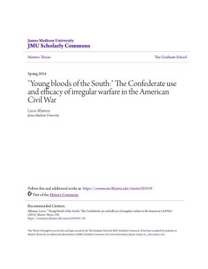 The Confederate Use and Efficacy of Irregular Warfare in the American Civil War
