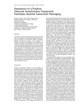 Expression of a Putative Vesicular Acetylcholine Transporter Facilitates Quantal Transmitter Packaging