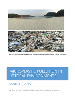 Microplastic Pollution in Littoral Environments