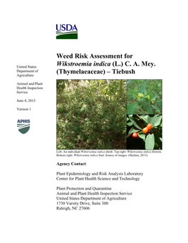 Weed Risk Assessment for Wikstroemia Indica (L.) CA Mey