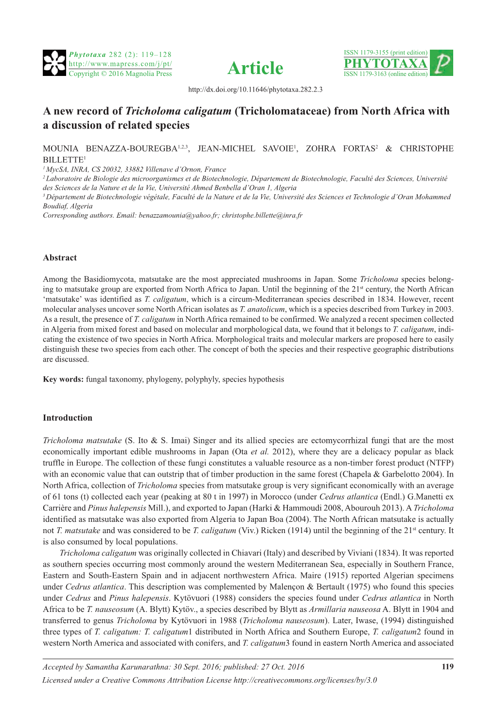 A New Record of Tricholoma Caligatum (Tricholomataceae) from North Africa with a Discussion of Related Species