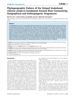 Phylogeographic Pattern of the Striped Snakehead, Channa Striata in Sundaland: Ancient River Connectivity, Geographical and Anthropogenic Singnatures