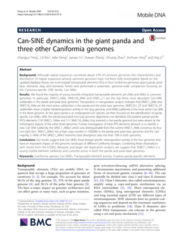 Can-SINE Dynamics in the Giant Panda and Three Other Caniformia