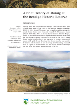 A Brief History of Mining at the Bendigo Historic Reserve (PDF, 591K)