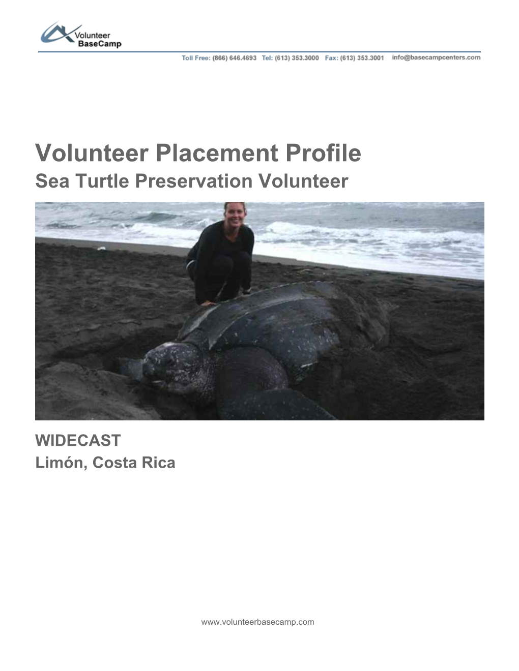 Volunteer Placement Profile Sea Turtle Preservation Volunteer