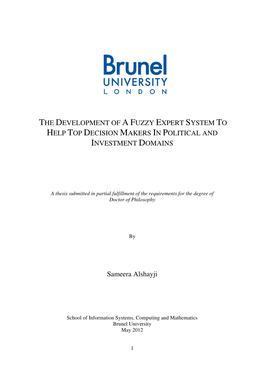 The Development of a Fuzzy Expert System to Help Top Decision Makers in Political and Investment Domains