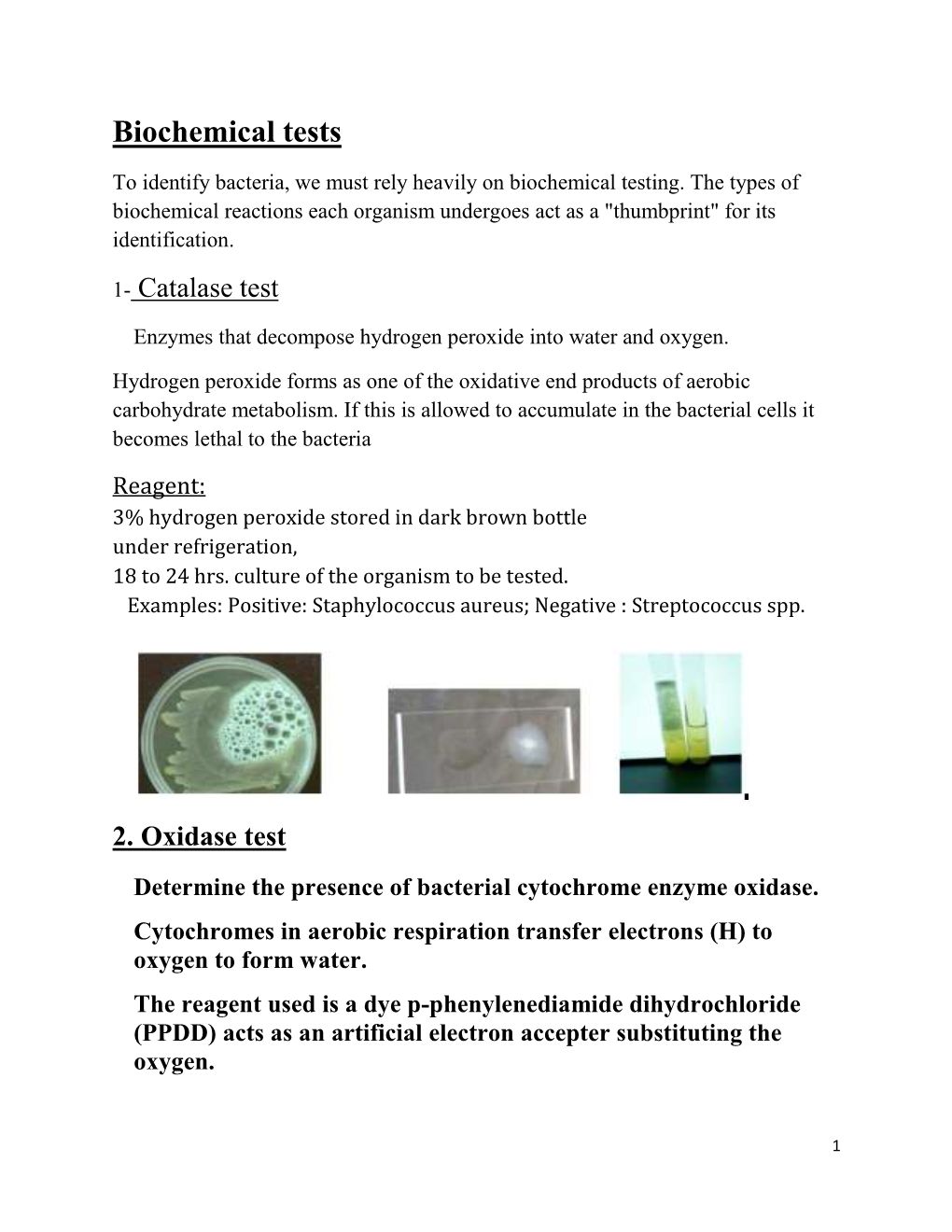 Biochemical-Test.Pdf