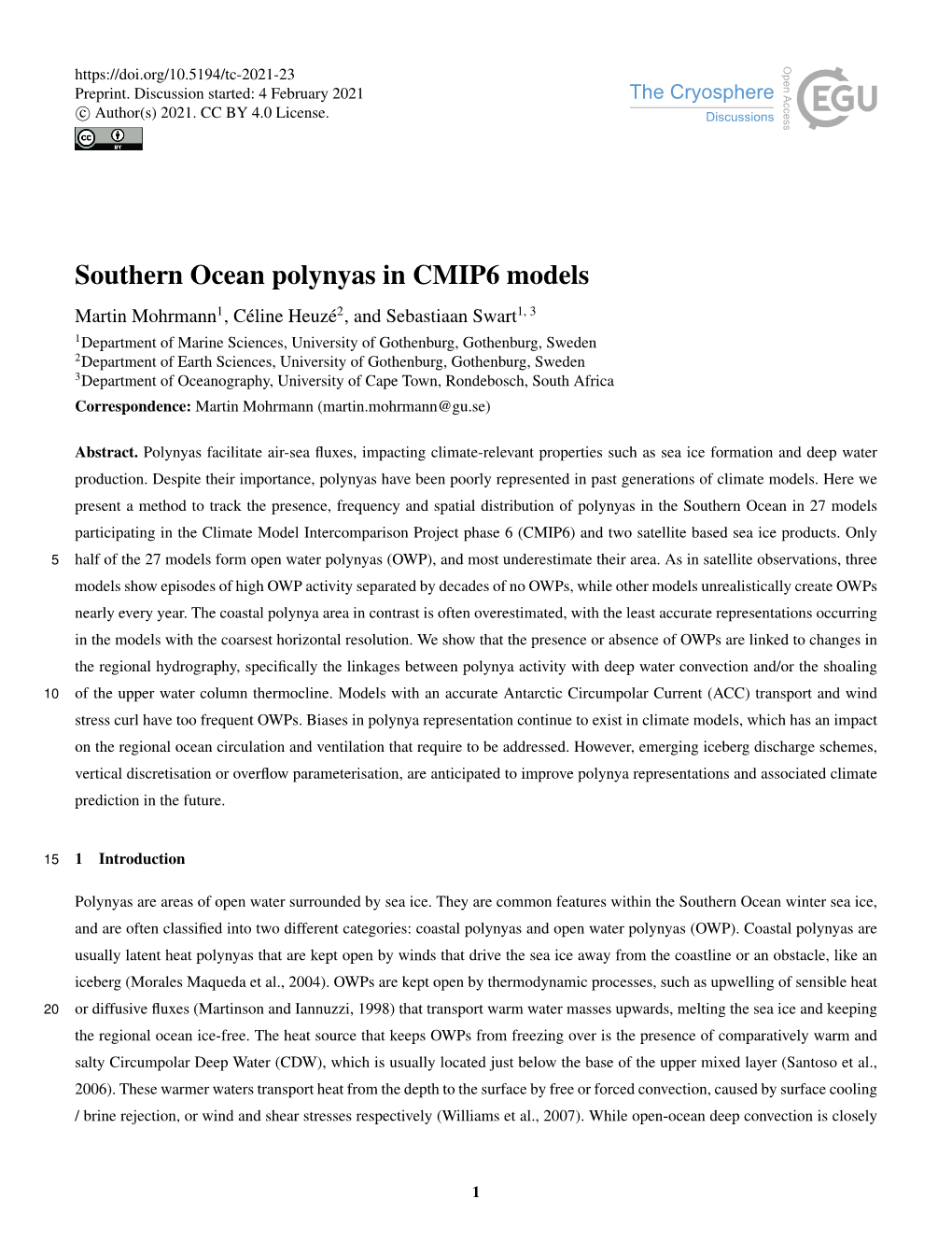 Southern Ocean Polynyas in CMIP6 Models