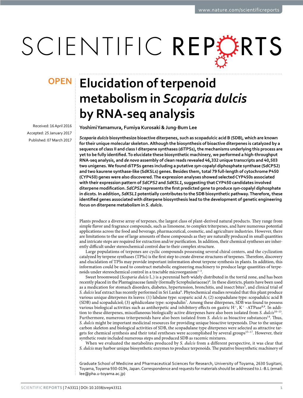 Elucidation of Terpenoid Metabolism in Scoparia Dulcis by RNA-Seq Analysis