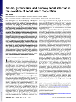 Kinship, Greenbeards, and Runaway Social Selection in the Evolution of Social Insect Cooperation