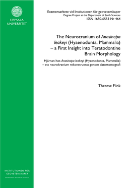 The Neurocranium of Anasinopa Leakeyi (Hyaenodonta