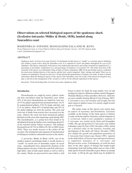 (Scoliodon Laticaudus Müller & Henle, 1838), Landed Along Saurashtra Coast