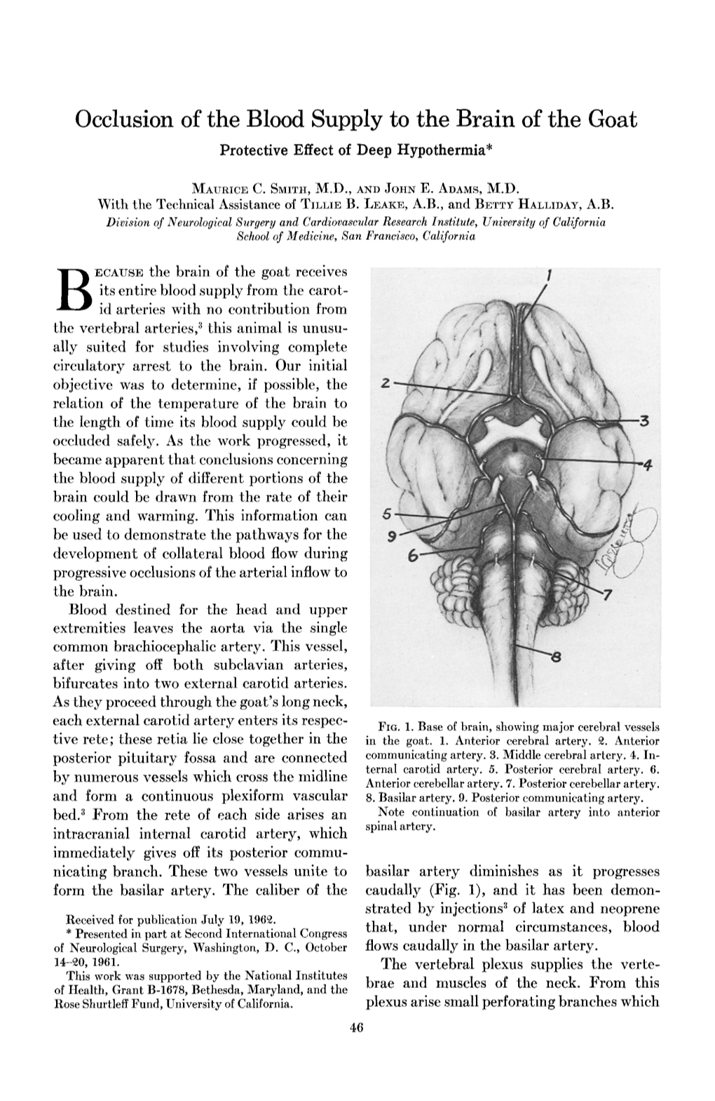 Occlusion of the Blood Supply to the Brain of the Goat Protective Effect of Deep Hypothermia*