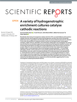 A Variety of Hydrogenotrophic Enrichment Cultures Catalyse