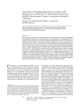 Association of Phosphorylated Serine/Arginine (SR) Splicing Factors with the U1–Small Ribonucleoprotein (Snrnp) Autoantigen Co