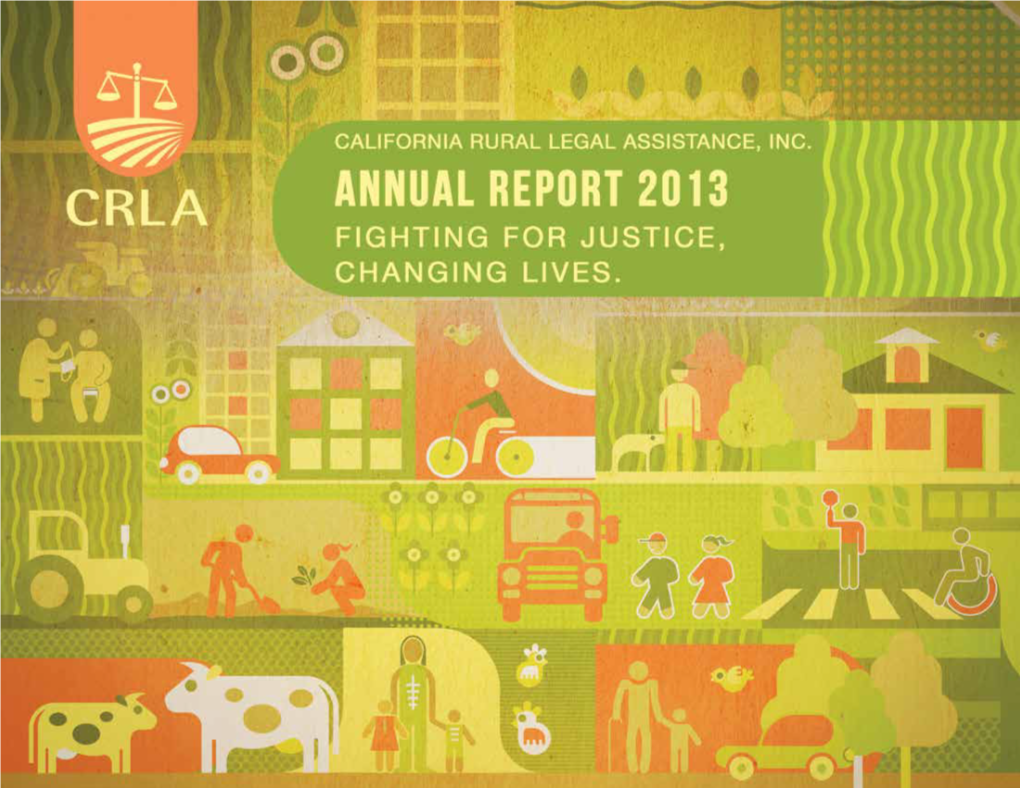 2013 Annual Report