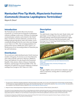 Nantucket Pine Tip Moth, Rhyacionia Frustrana (Comstock) (Insecta: Lepidoptera: Tortricidae)1 Wayne N