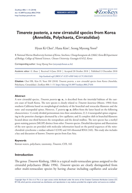 Timarete Posteria, a New Cirratulid Species from Korea (Annelida, Polychaeta, Cirratulidae)