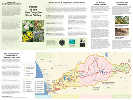 Plants of the San Dieguito River Valley