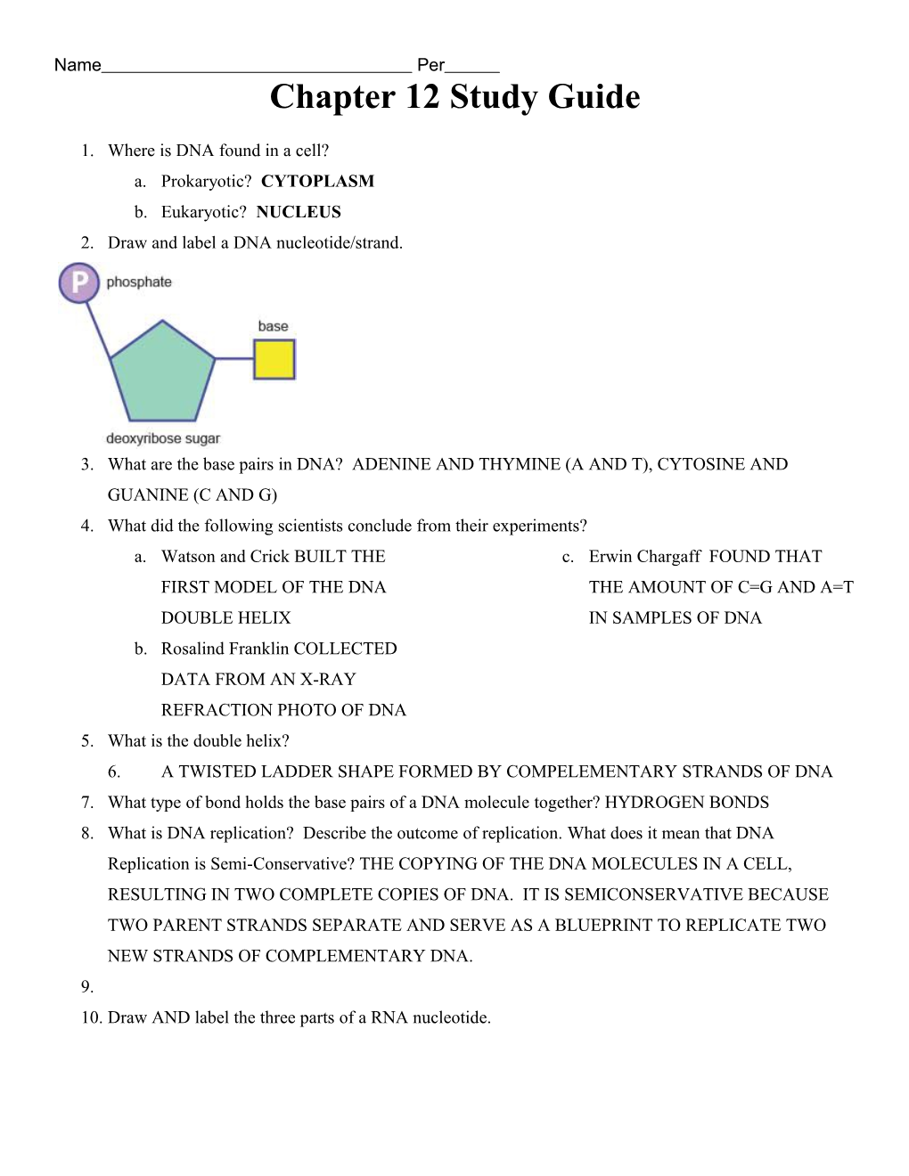 DNA Section 1 & 2 Study Guide